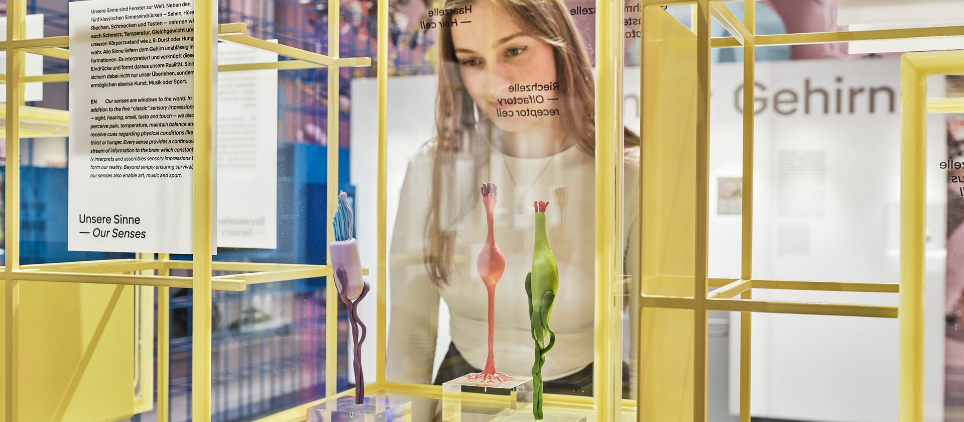 Frau mit Zöpfen steht hinter gelben Metallrahmen mit transparenten Tafeln, auf denen Text zu sehen ist