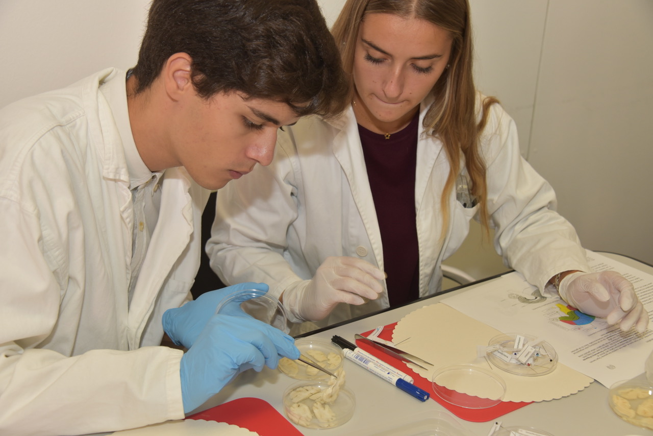 Foto: Alzheimer-Koffer, Technische Universität Kaiserslautern, 2018 Foto: Alzheimer-Koffer, Technische Universität Kaiserslautern, 2018