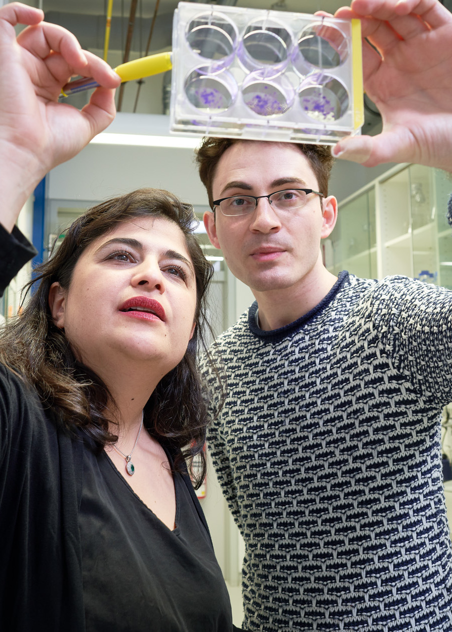 Prof. Dr. Dr. Ghazaleh Tabatabai im Hertie-Institut für klinische Hirnforschung in Tübingen
